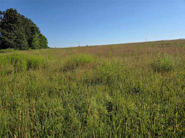 Barron Farm Real Estate