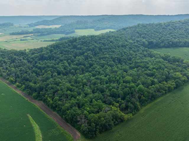 Mondovi Land Real Estate
