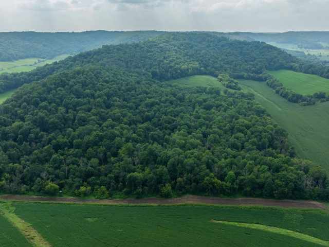 Mondovi Land Real Estate