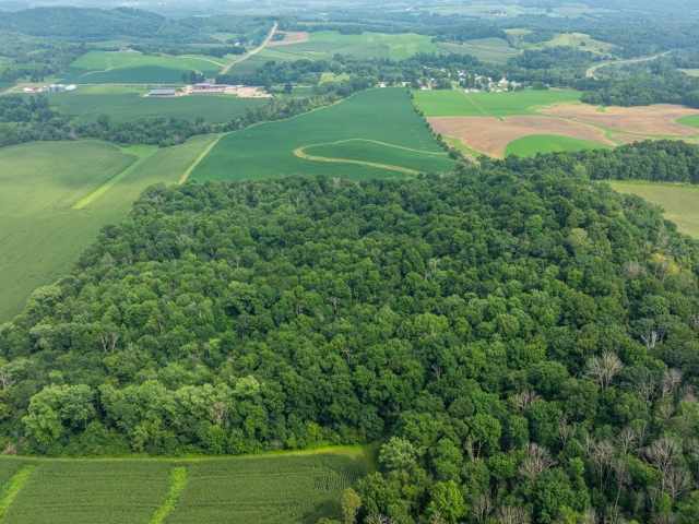 Mondovi Land Real Estate