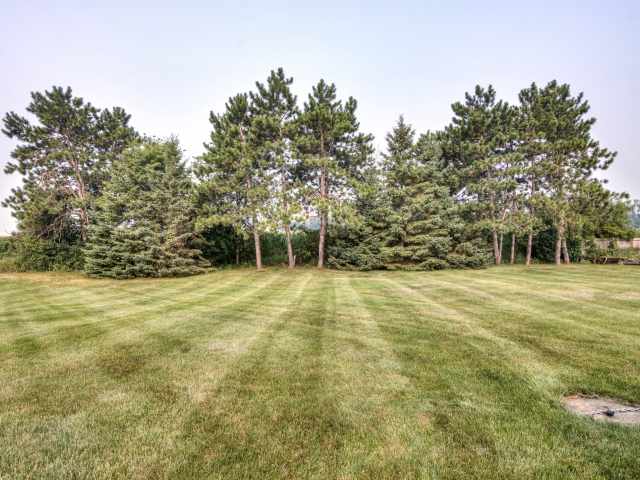Chippewa Falls Residential Real Estate
