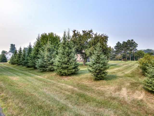 Chippewa Falls Residential Real Estate