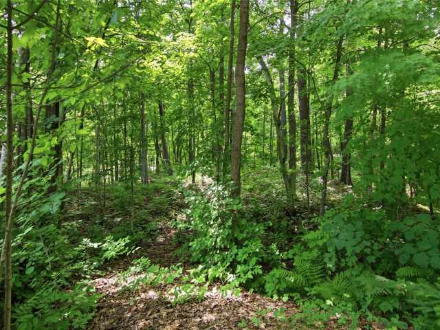 Birchwood Residential Real Estate