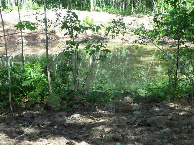 Shell Lake Land Real Estate