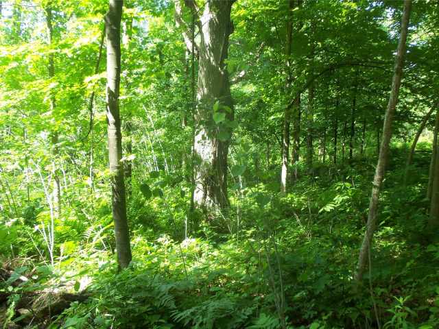 Shell Lake Land Real Estate