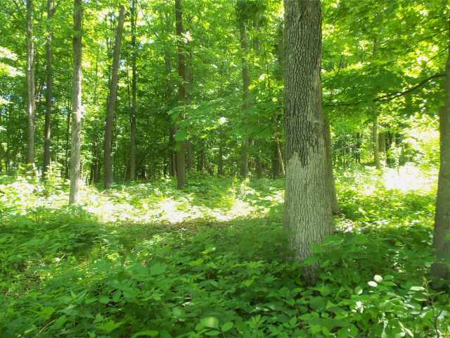 Shell Lake Land Real Estate