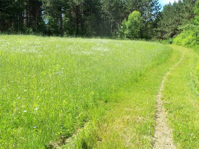 Shell Lake Land Real Estate