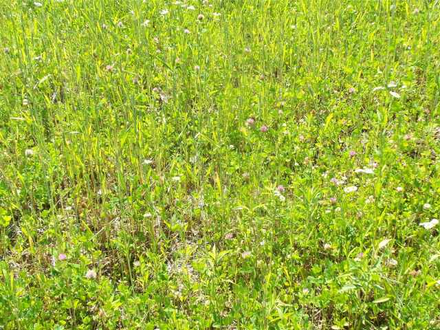 Shell Lake Land Real Estate