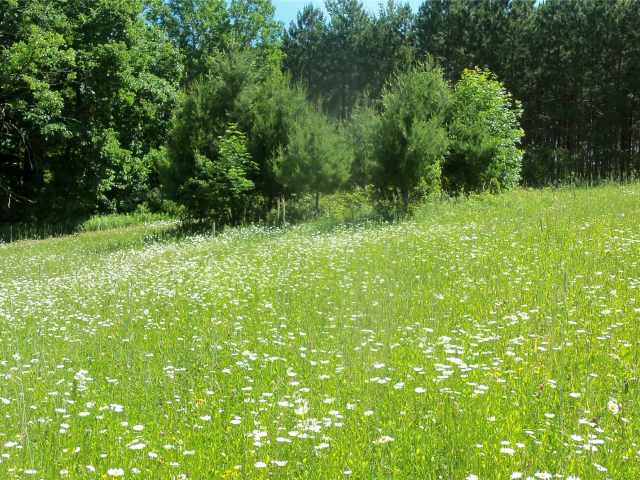 Shell Lake Land Real Estate