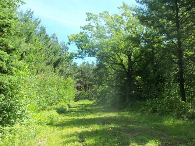 Shell Lake Land Real Estate
