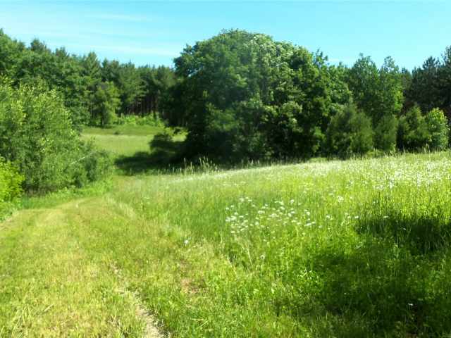 Shell Lake Land Real Estate