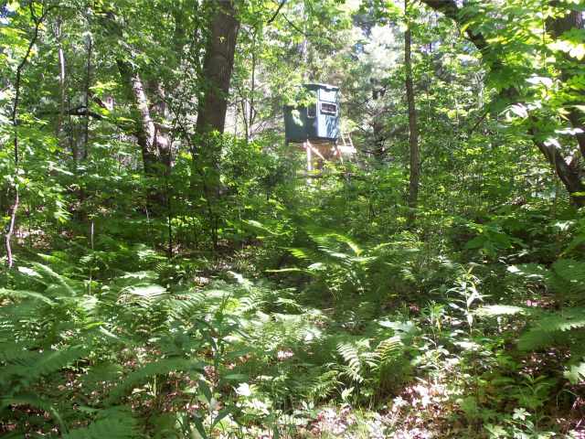 Shell Lake Land Real Estate