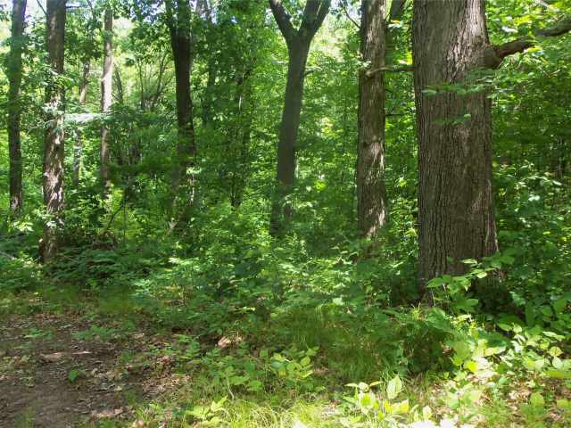 Shell Lake Land Real Estate