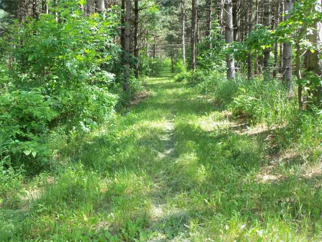 Shell Lake Land Real Estate