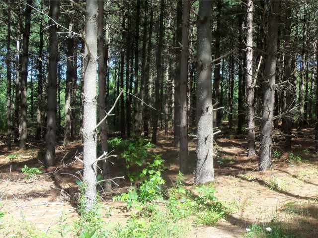 Shell Lake Land Real Estate