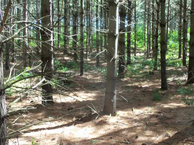 Shell Lake Land Real Estate