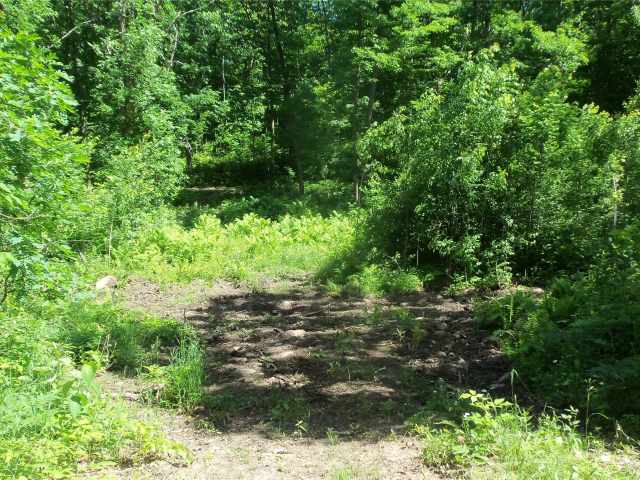 Shell Lake Land Real Estate