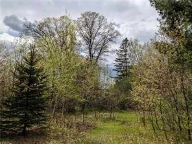 Chippewa Falls Land Real Estate