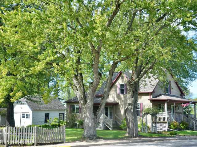 Withee Residential Real Estate