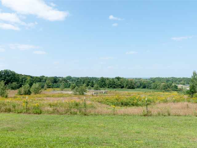 Rice Lake Farm Real Estate