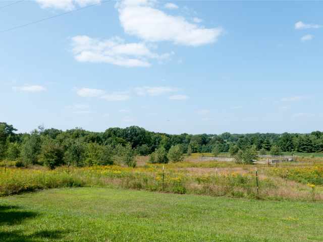 Rice Lake Farm Real Estate