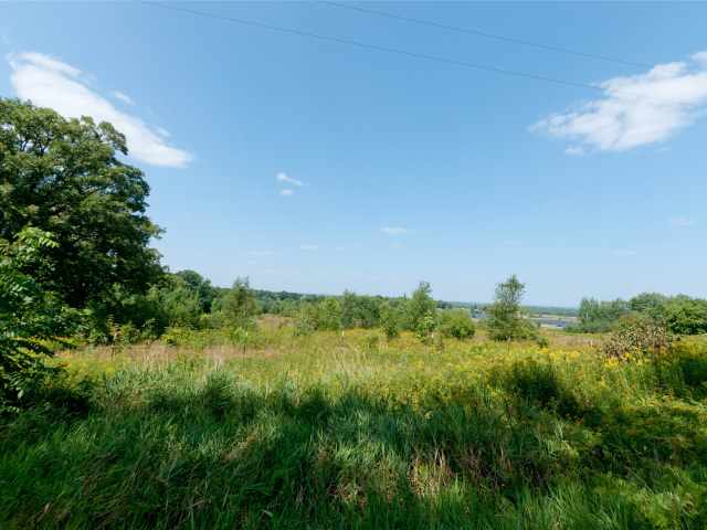 Rice Lake Farm Real Estate