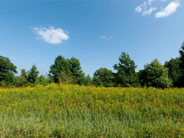Rice Lake Farm Real Estate