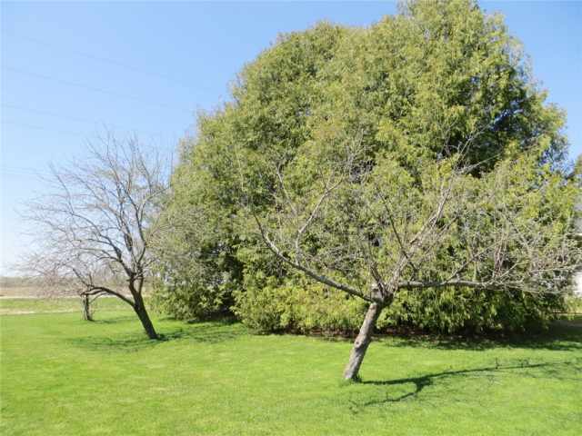 Gilman Residential Real Estate
