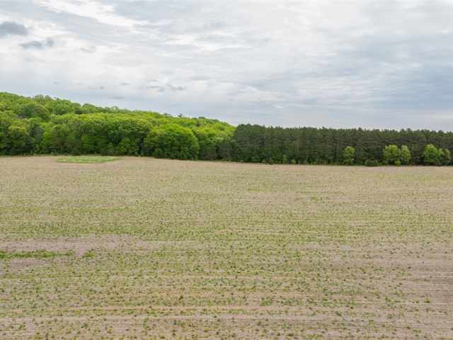 Mondovi Land Real Estate
