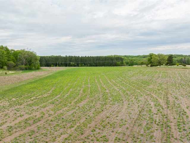 Mondovi Land Real Estate