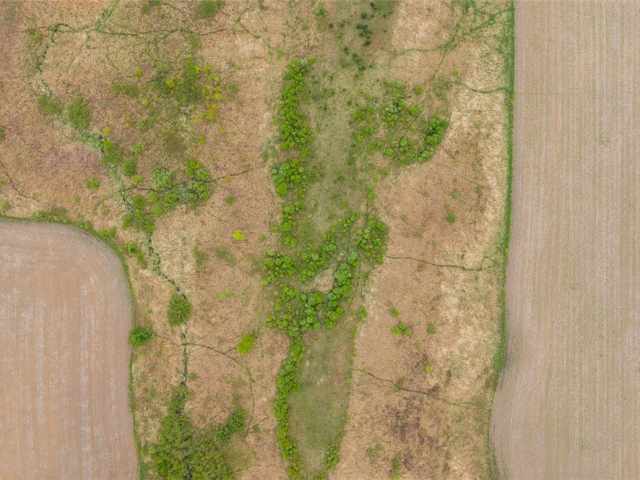 Mondovi Land Real Estate