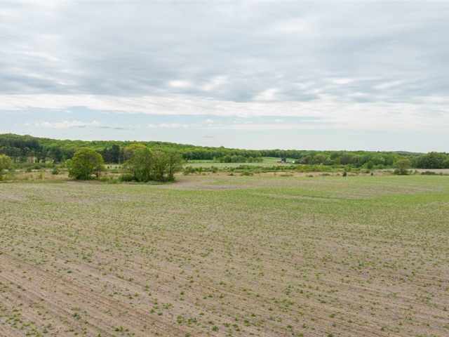 Mondovi Land Real Estate