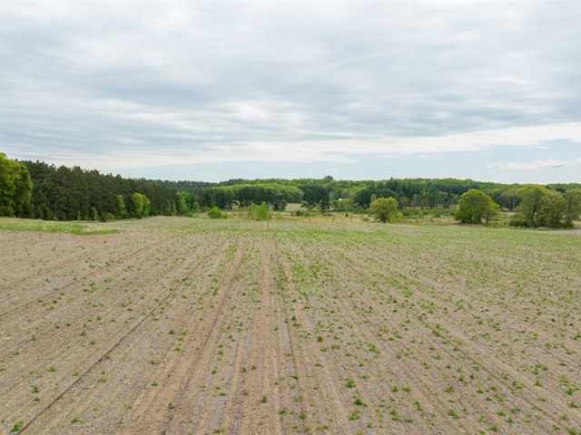 Mondovi Land Real Estate