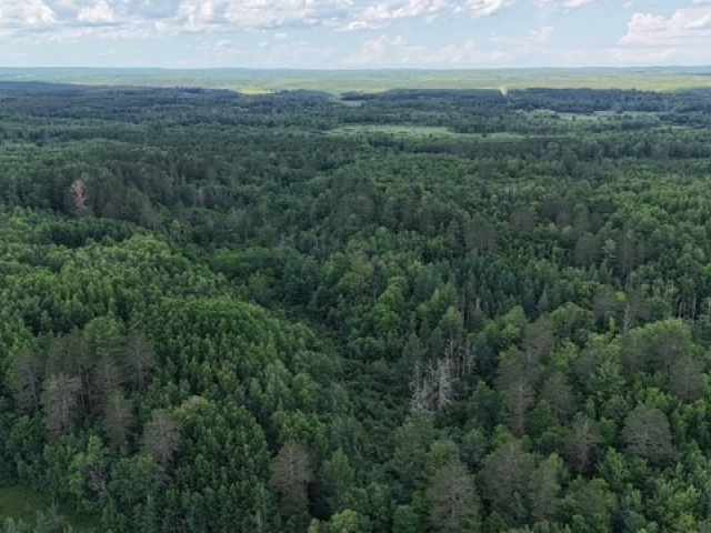 Springbrook Land Real Estate