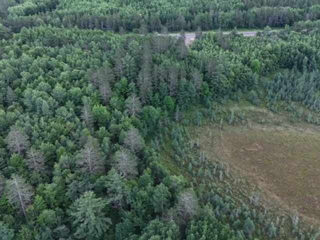 Springbrook Land Real Estate