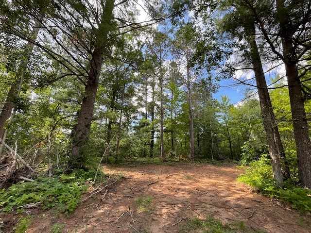 Springbrook Land Real Estate