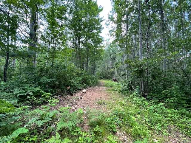 Springbrook Land Real Estate