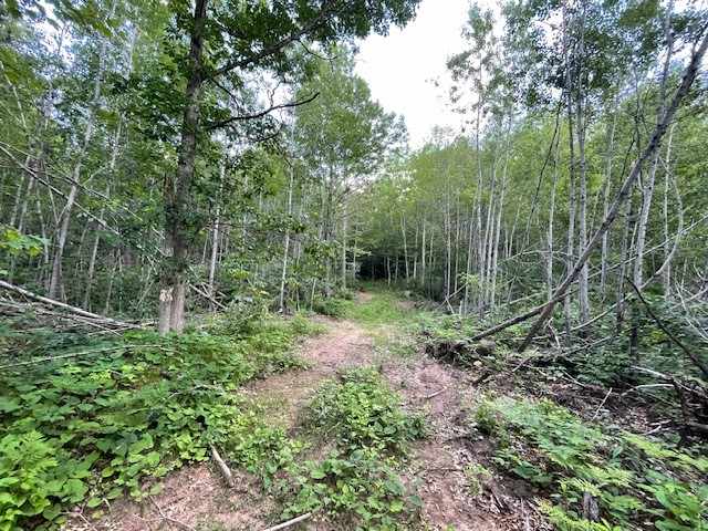 Springbrook Land Real Estate