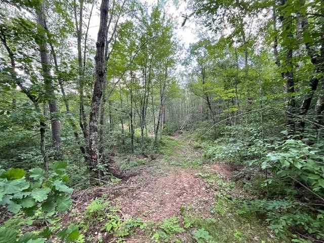 Springbrook Land Real Estate