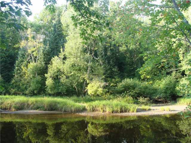 Ladysmith Residential Real Estate