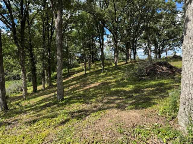 Rice Lake Land Real Estate