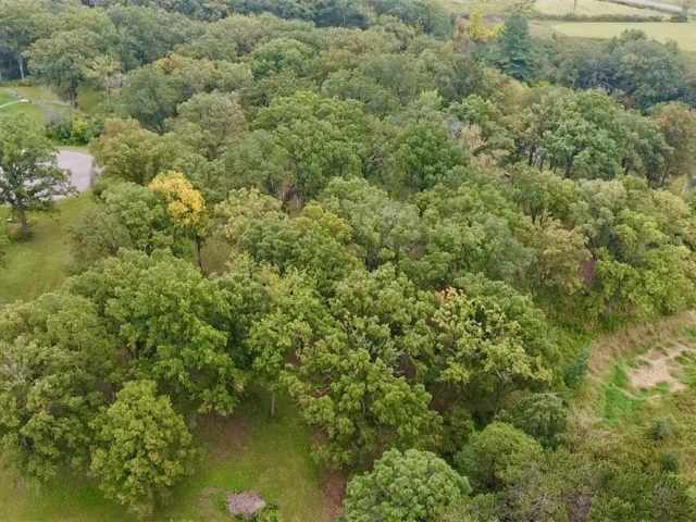 Rice Lake Land Real Estate