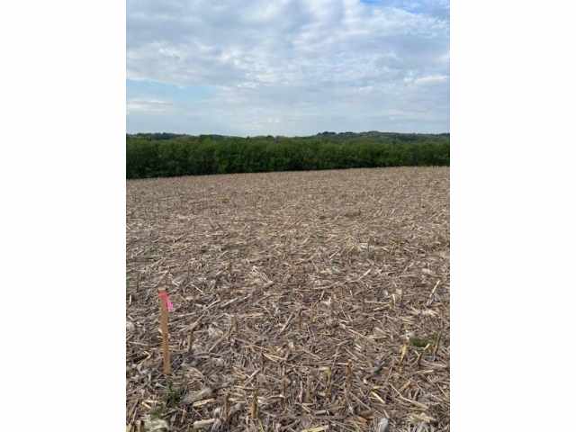 Eau Claire Land Real Estate