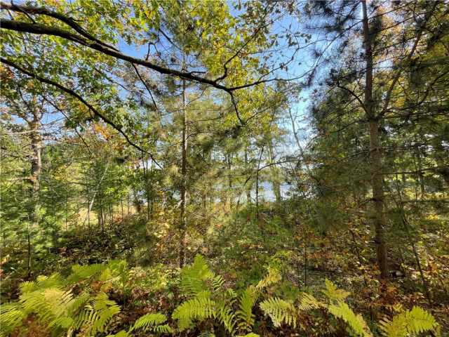Weyerhaeuser Residential Real Estate