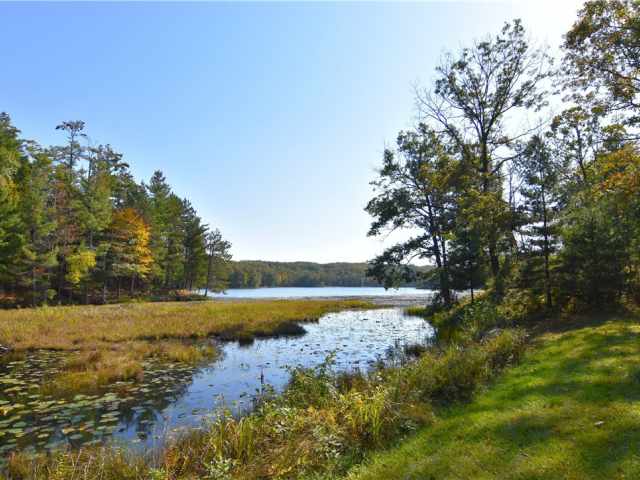 Weyerhaeuser Residential Real Estate