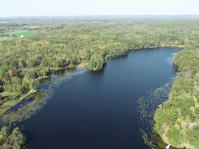 Weyerhaeuser Residential Real Estate