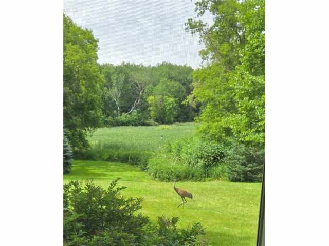 Amery Residential Real Estate