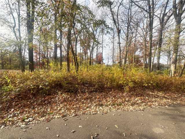 Rice Lake Land Real Estate