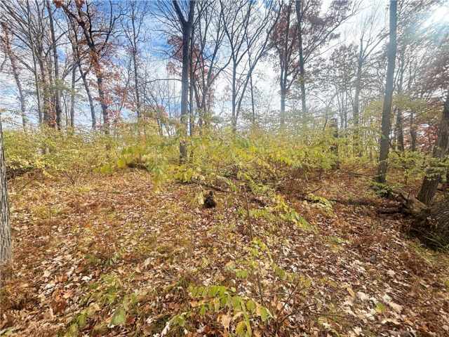 Rice Lake Land Real Estate