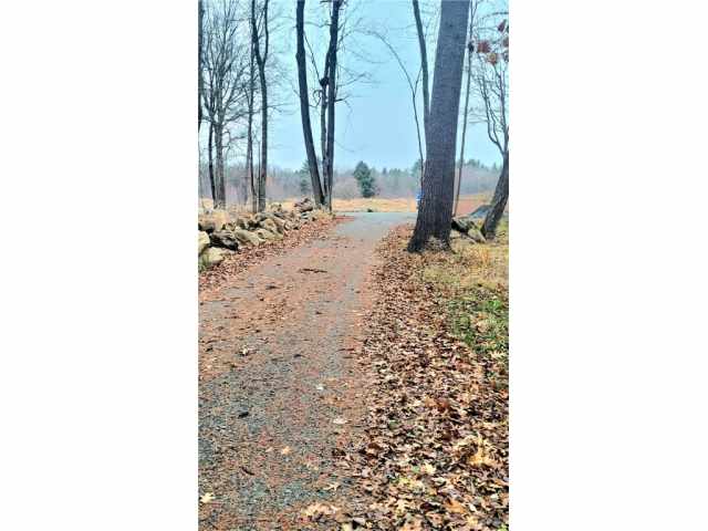 Neillsville Land Real Estate